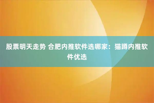 股票明天走势 合肥内推软件选哪家：猫蹲内推软件优选